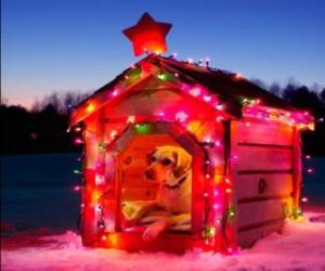 Puzzle Σκύλος σπίτι διακοσμημένο για τα Χριστούγεννα